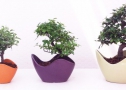 Trendy golf-pot  12/15/20cm